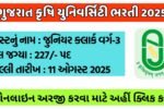 Gujarat Agricultural University Recruitment 2025